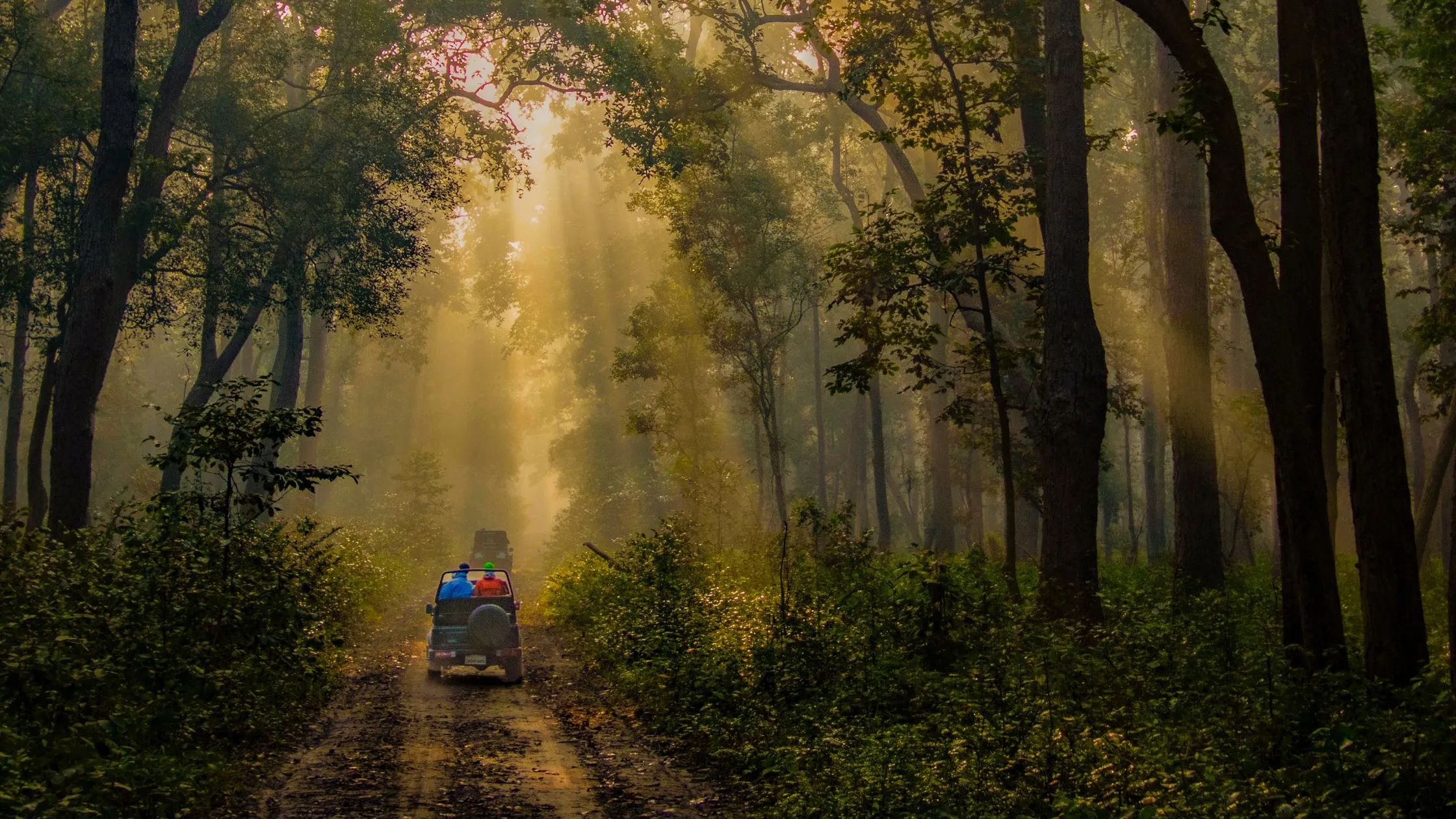 Nainital, Bhimtal, Jim Corbett, Haridwar, Rishikesh & Mussoorie Tour Package.